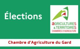 Élection des membres de la chambre d'agriculture du Gard - Avis de révision des listes électorales